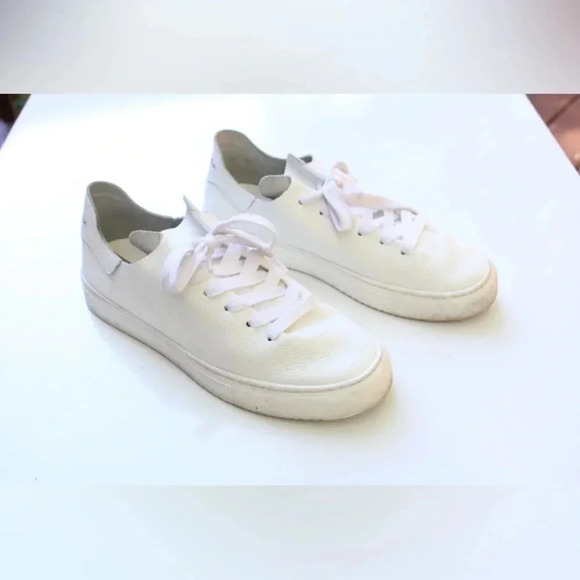 Sam Edelman Poppy sneakers - Picture 1 of 16